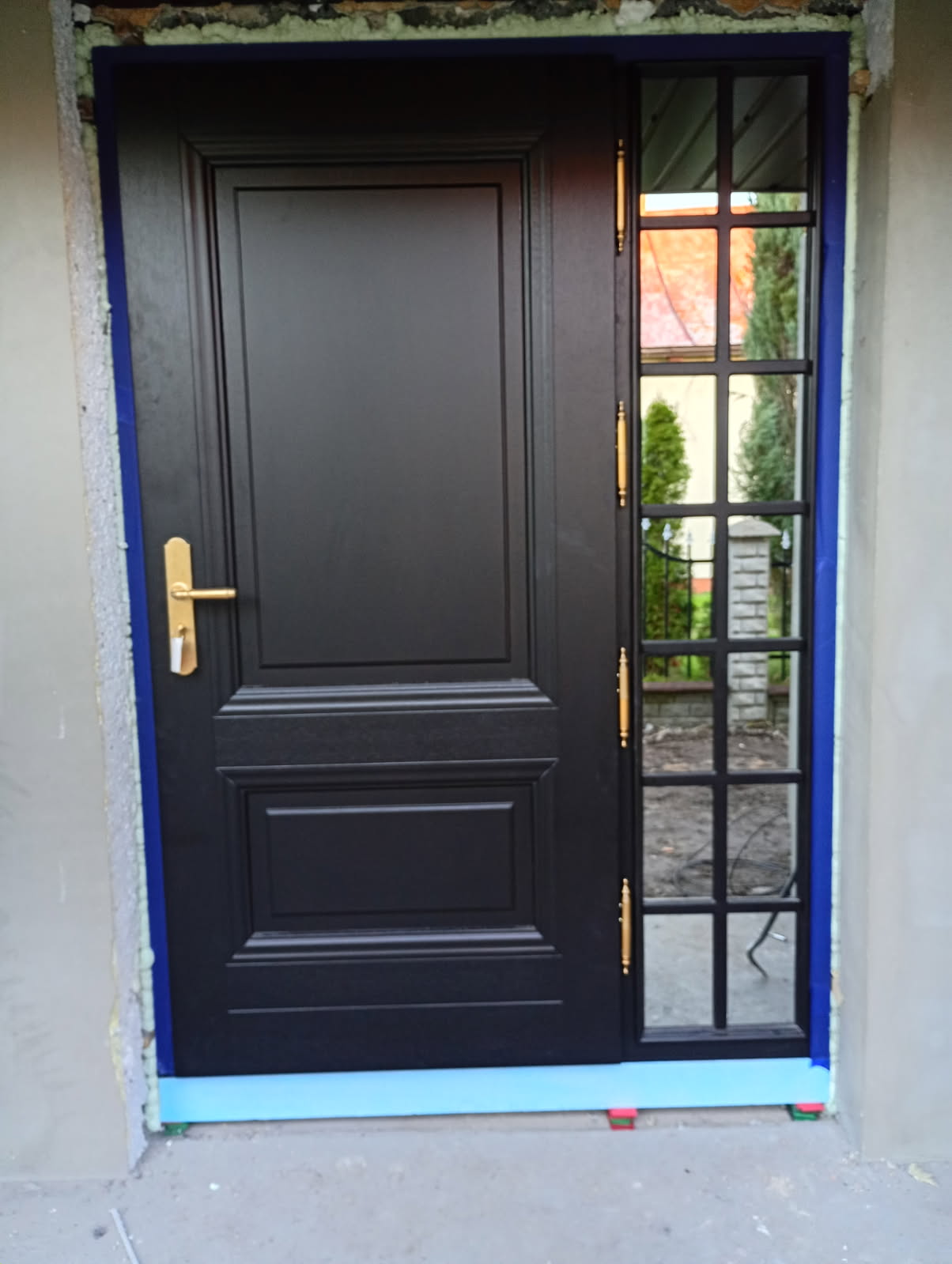 Drzwi zewnętrzne Doorsy Palisander